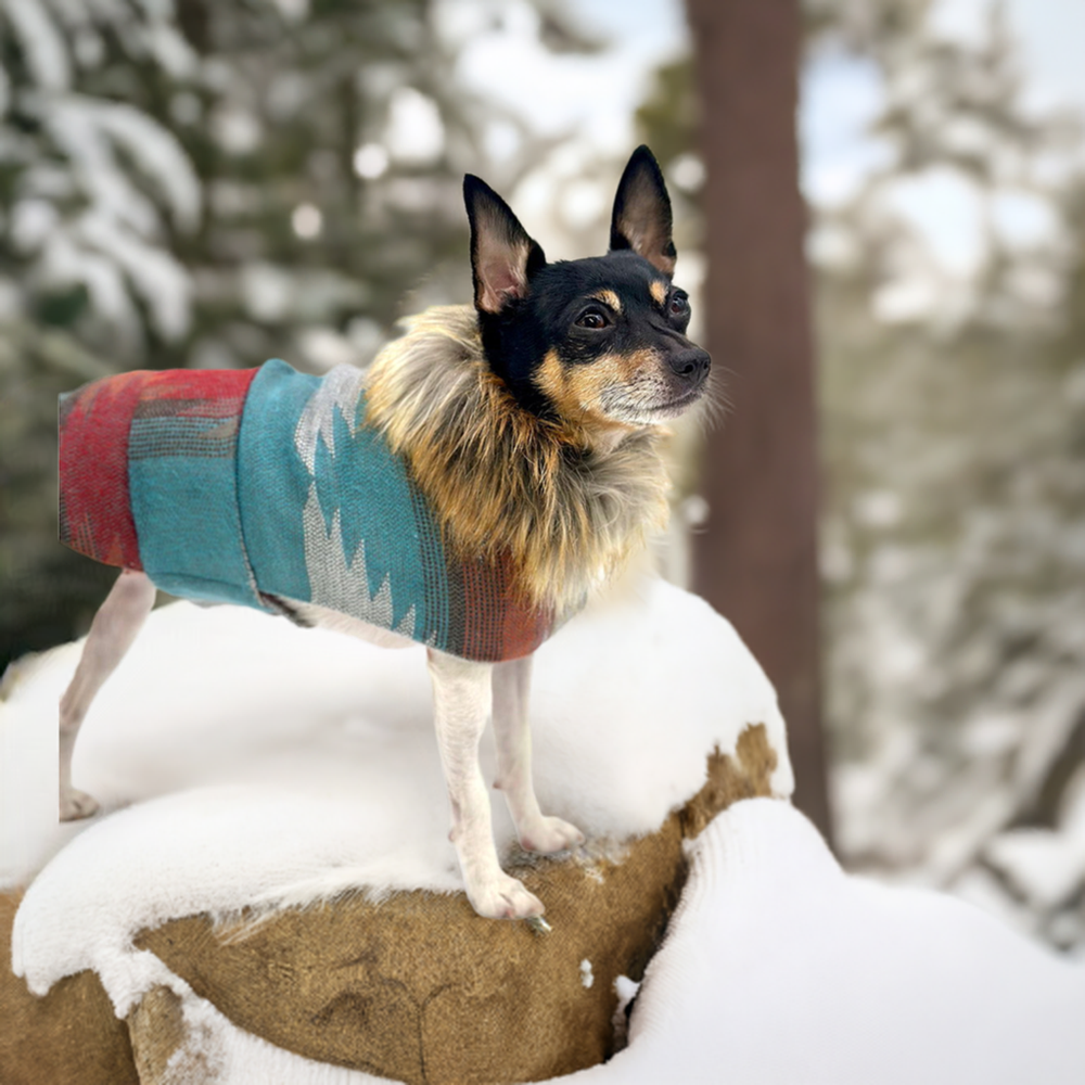 "Prescott" Jacket with Removable Faux Fur Collar